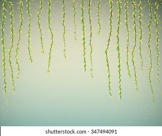 willow vine with yellow  flowers with pollen flying around, spring background, vector