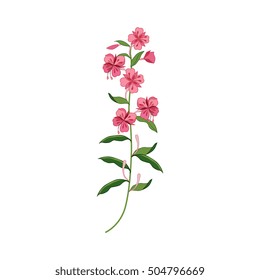 Willowed Wild Flower Hand Drawn Detailed Illustration