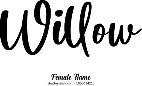 Willow-Female Name Calligraphy Phrase on White Background