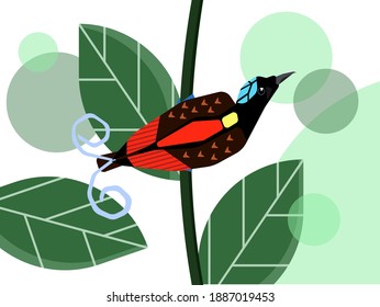 Wilson Bird Of Paradise Vector Art With Leaf