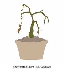 Wilting Plant Vector Design. Digital Hand Drawn Style. Grain Texture