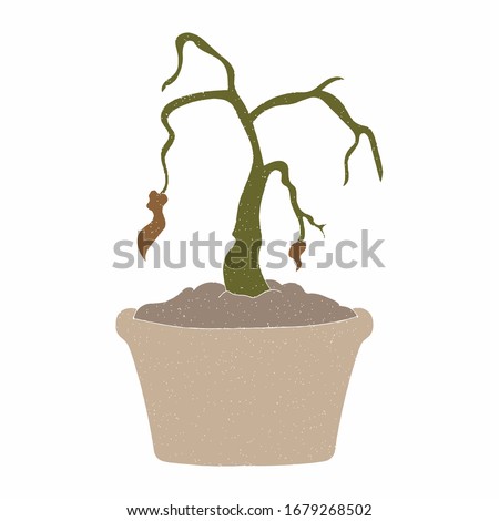 wilting plant vector design. digital hand drawn style. grain texture