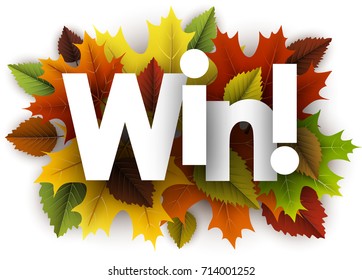 Win autumn background with colorful maple and birch leaves. Vector illustration.