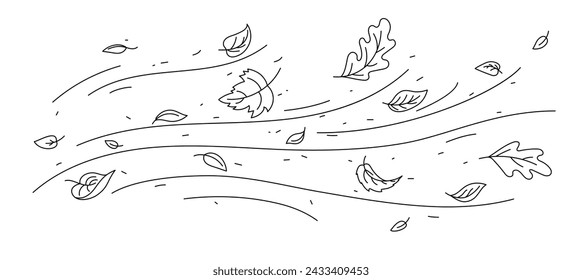 Wind air and doodle leaves motion, vector autumn nature and weather. Outline falling leaves flying on wave lines of blowing wind streams. Dry foliage of maple, oak and birch forest trees falling down