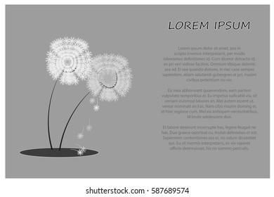Wind blowing dandelions seeds for cards decor vector illustration with text