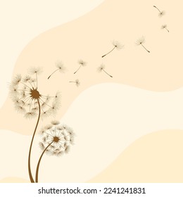The wind blows the seeds of a dandelion
