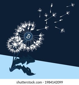 The wind blows the seeds of a dandelion with the bitcoin in the center. Metaphor for the digital currency fragility. Night, blue mood.