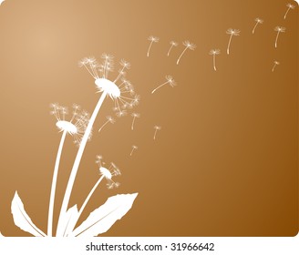 Wind and dandelion. Vector illustration.