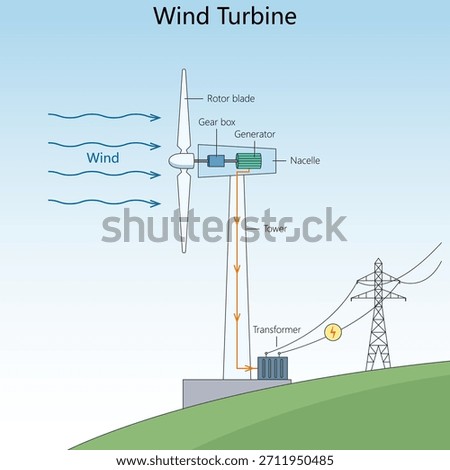 wind energy conversion into electricity using rotor blades, gearbox, generator, and transformer diagram hand drawn schematic vector. Science educational illustration