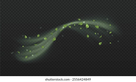 Wind with leaves. Fresh air and airflow, steam. Aroma and fragnance, cologne. Motion and spiral effects. Leaf and foliage. Realistic vector illustration isolated on transparent background