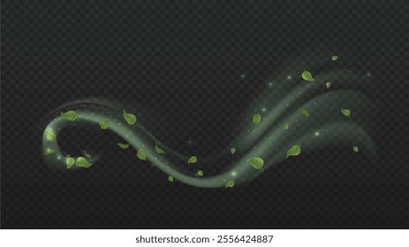 Wind with leaves. Fresh air and airflow, steam. Aroma and fragnance, cologne, freshness. Tea and mint. Leaf and foliage. Realistic vector illustration isolated on transparent background