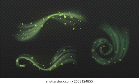 Vento com folhas ajustadas. Folhas de hortelã e folhagem em correntes de vento. Ecologia, natureza e ambiente. Fluxo de ar fresco Coleção de vetores realistas isolada em plano de fundo transparente