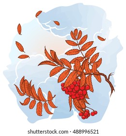 Wind stripping leaves off the Rowanberry branch. Stormy sky background. Autumn mood. Hand drawn sketch with watercolor imitation. EPS10 vector illustration.