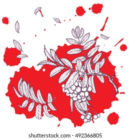Wind stripping leaves off the Rowanberry branch. Red paint grunge spot background. Autumn mood. Hand drawn sketch isolated on white background. EPS10 vector illustration.