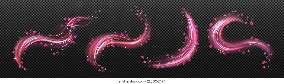 Wind swirls with flower pink petals isolated on transparent background. Vector realistic illustration of spiral air vortex with flying blossom petals, magic dust splash