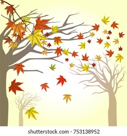 the wind whirls maple leaves against the background of trees