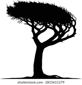 Windblown acacia tree silhouette in a minimalist flat vector style