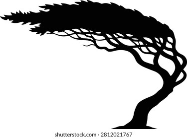 Windblown tree silhouette bending in strong gale force winds