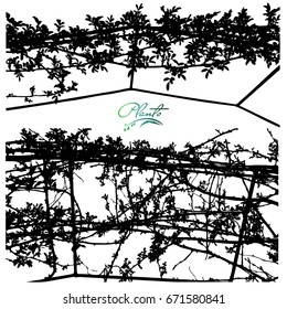 A winding rose, the first leaves. Support for branch. Plants silhouette. Detailed vector illustration.