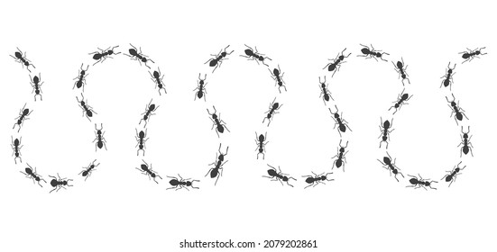 A winding trail of ants. Insects march along the line. Vector illustration