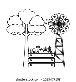 windmill farm fresh