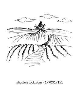 Windmill in the field. Sketch. Vector illustration.