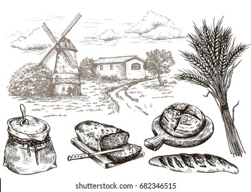 windmill and fresh bakery products. homemade baking. bakery products. vector sketch on white
