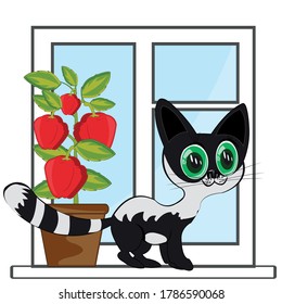 Ventana en el departamento y hermoso gato negro
