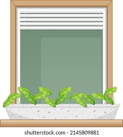 A window for apartment building or house facade illustration