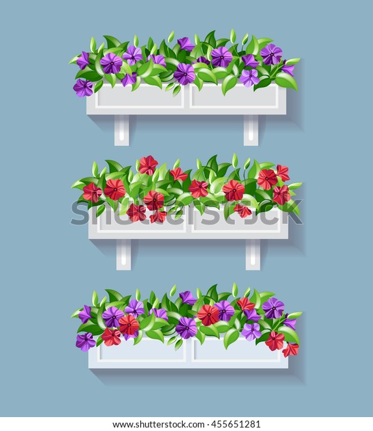 Window box flower. Red and Purple Petunia\
vector illustration.