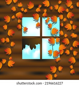 Window with broken glass in rustic wooden house with grapes vine with beautiful autumn leaves. Autumn concept with window with light and ivy. Creative autumn picture.  