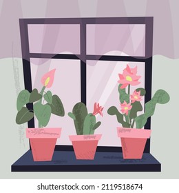 Ventana con cactus y otras plantas de la casa en macetas en el umbral de la ventana. Ilustración de dibujos animados planos vectores. El interior es acogedor, con plantas y cortina