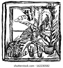 Window drawing. Illustration with potted plants.