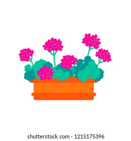 Window flower box. Colorful vector illustration isolaed on white.