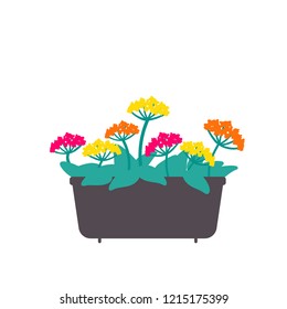 Window flower box. Colorful vector illustration isolaed on white.