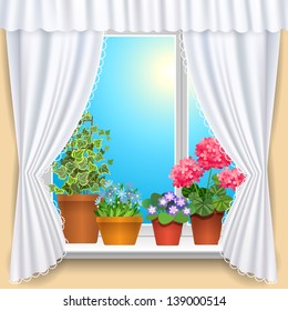 Window and flowers