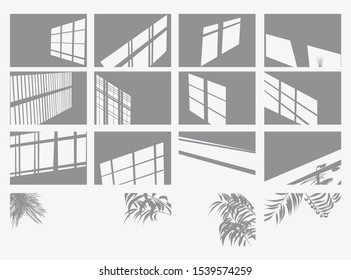 Window Frames and Palm Tree. Set of Transparent Shadow Overlay Effects. Vector Illustration. 