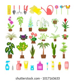 Window gardening infographic elements. Equipments for take care of indoor flowers. Vector set of flat illustration of horticultural sundry, house plants and flowers in pots. EPS 10