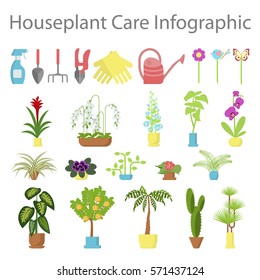 Window gardening infographic elements. Equipments for take care of indoor flowers. Vector set of flat illustration of horticultural sundry, house plants and flowers in pots. EPS 10