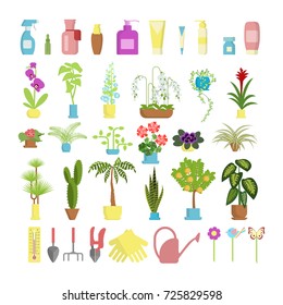 Window gardening infographic elements. Equipments for take care of indoor flowers. Vector set of flat illustration of horticultural sundry, house plants and flowers in pots. EPS 10