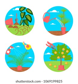 Window gardening infographic elements. Vector set of flat illustration of horticultural sundry, house plants and flowers in pots. EPS 10