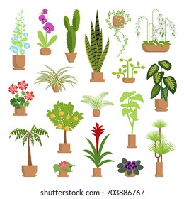 Window gardening infographic elements. Vector set of flat illustration of horticultural sundry  isolated on white. House growing potted houseplants set for greenhouse design and flowers in pots EPS 10