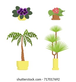 Window gardening infographic elements. Vector set of flat illustration of horticultural sundry  isolated on white. House growing potted houseplants set for greenhouse design and flowers in pots EPS 10