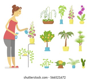 Window gardening infographic elements. Woman floriculturist takes care of indoor flowers. Vector set of flat illustration of horticultural sundry, house plants and flowers in pots. EPS 10