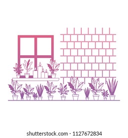 window house with houseplants scene