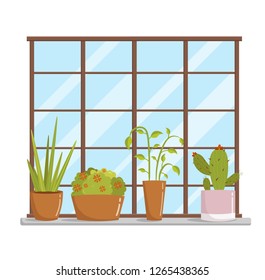 Window illustration with flowers in pots vector background