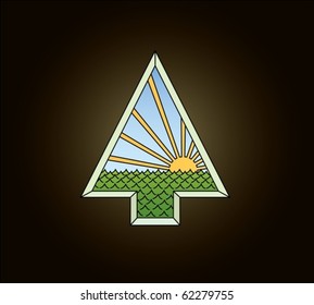 Window into the forest
