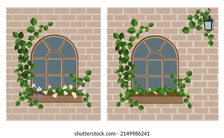 Ventana con hiedra, caja de flores, linterna en una pared de ladrillo. Ilustración del vector