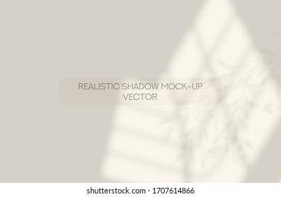 Window and Leaves Shadow Overlay Mockup for Presentations, Social Media Advertising, Banners and other. Realistic Shadows on White Wall Design Template. Vector Illustration.