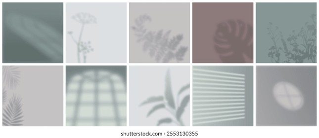 Sombras de luz da janela definidas. Silhuetas de plantas e caixilhos de janelas em parede de cor pastel. Estágio geométrico e showroom. Coleção de vetores realistas isolada sobre fundo branco